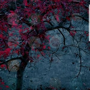 Meet your Posher, Jody